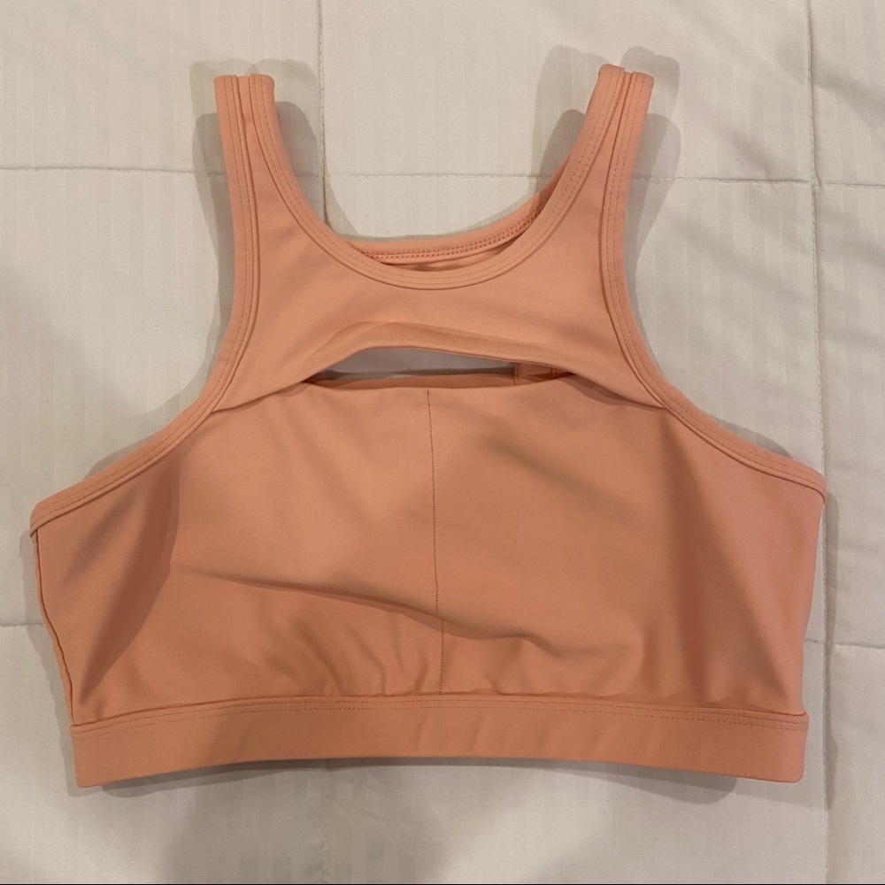 C&C California Sports Bra